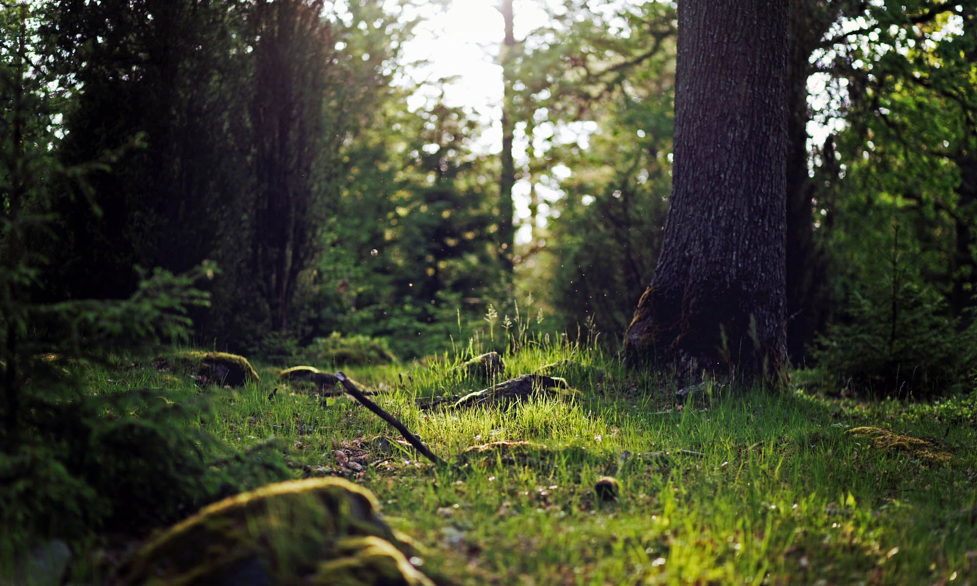 Impressum Sektion Hintergrundbild